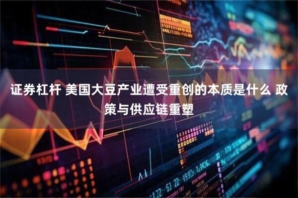 证券杠杆 美国大豆产业遭受重创的本质是什么 政策与供应链重塑