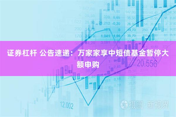 证券杠杆 公告速递：万家家享中短债基金暂停大额申购
