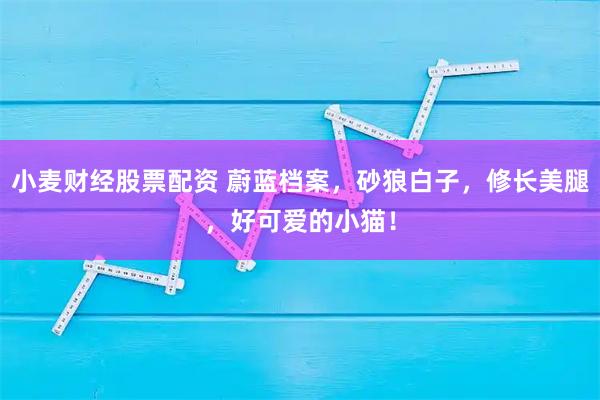 小麦财经股票配资 蔚蓝档案，砂狼白子，修长美腿，好可爱的小猫！
