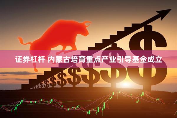 证券杠杆 内蒙古培育重点产业引导基金成立