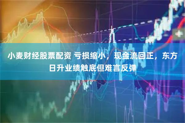 小麦财经股票配资 亏损缩小，现金流回正，东方日升业绩触底但难言反弹