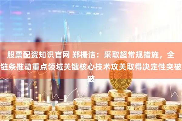 股票配资知识官网 郑栅洁：采取超常规措施，全链条推动重点领域关键核心技术攻关取得决定性突破