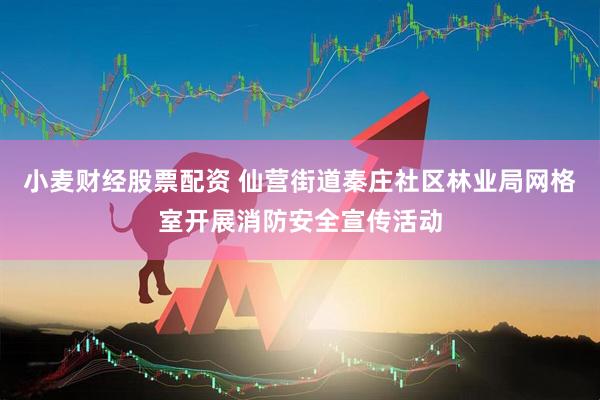 小麦财经股票配资 仙营街道秦庄社区林业局网格室开展消防安全宣传活动
