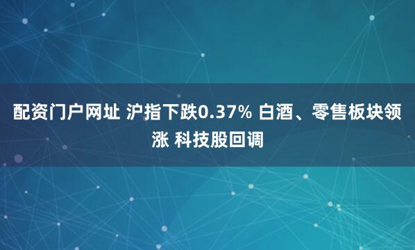 配资门户网址 沪指下跌0.37% 白酒、零售板块领涨 科技股回调